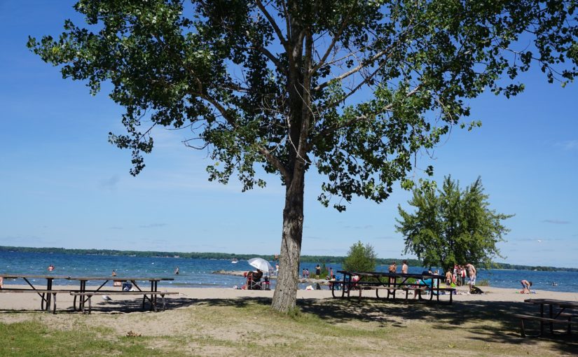 Lunch by the Lake at a waterfront restaurant in Georgina, Ontario